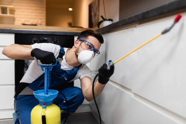 Best Wasp Removal Services  in Zeeland, MI