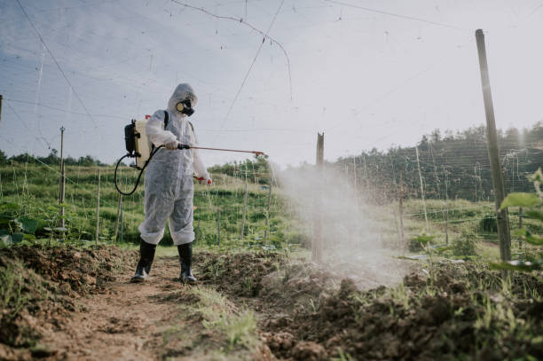 Best Best Pest Control Companies  in Zeeland, MI