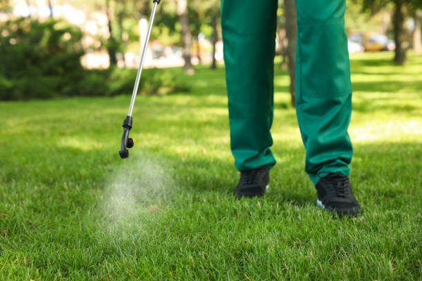 Best Flea Control Services  in Zeeland, MI
