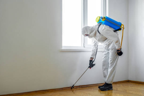 Best Affordable Pest Control Services  in Zeeland, MI
