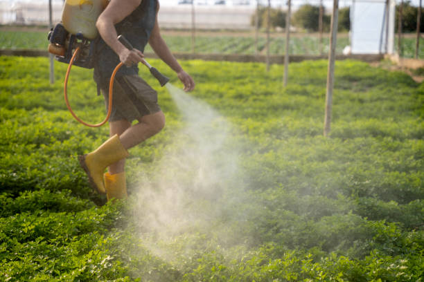 Best Commercial Pest Control Services  in Zeeland, MI