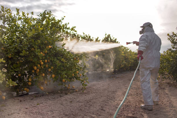 Best Pest Control Near Me in Zeeland, MI