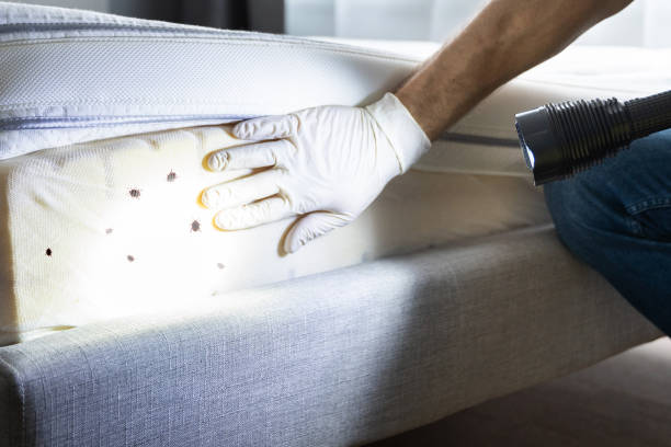 Best Residential Pest Control  in Zeeland, MI