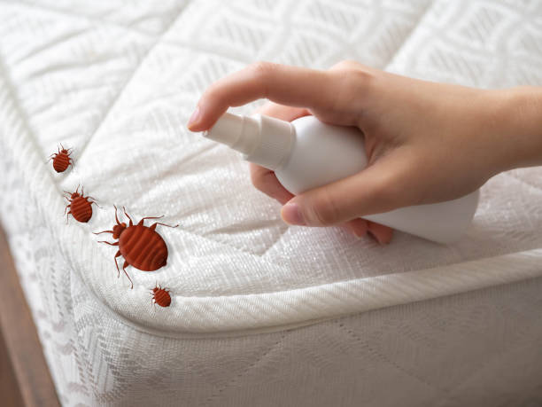 Reliable Zeeland, MI Pest Control Solutions