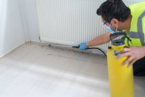 Best Local Pest Control Services  in Zeeland, MI